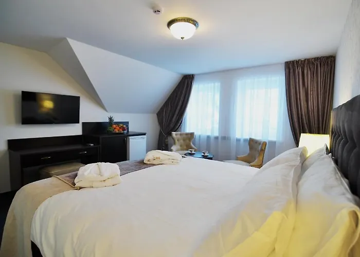 Vila Baltija בית הארחה פלאנגה